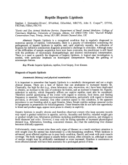 2001 - Reptile Hepatic Lipidosis - Association of Reptilian and