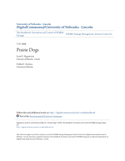 Prairie Dogs - DigitalCommons@University of Nebraska