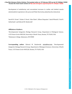 Development of endothermy and concomitant increases in cardiac