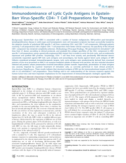 Immunodominance of lytic cycle antigens in Epstein