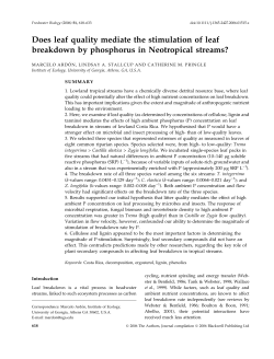 Does leaf quality mediate the stimulation of leaf