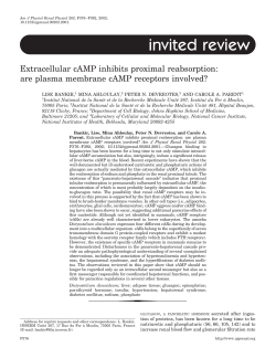 PDF Version - Devreotes Lab