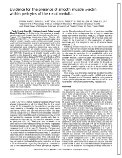 Evidence for the presence of smooth muscle