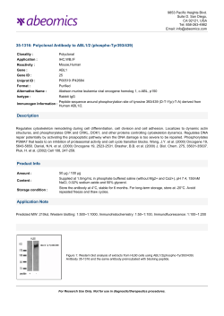 35-1316: Polyclonal Antibody to ABL1/2 (phospho