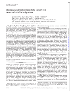 Human neutrophils facilitate tumor cell transendothelial - AJP-Cell