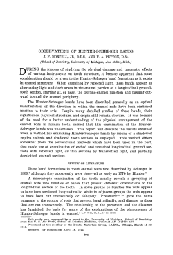 Observations of Hunter-Schreger Bands