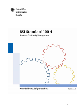 BSI-Standard 100-4