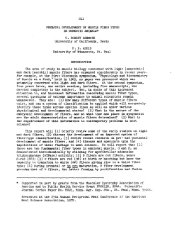 Prenatal Development Of Muscle Fiber Types In Domestic Animals