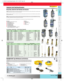 Industrial Limit Switches/Actuators
