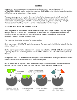 ENZYMES A CATALYST is a substance that speeds up a chemical