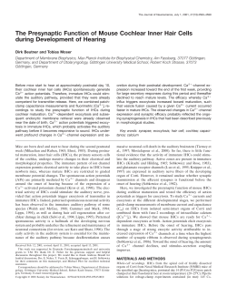 The Presynaptic Function of Mouse Cochlear Inner Hair Cells during