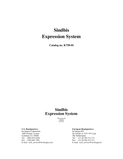 Sindbis - Thermo Fisher Scientific