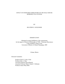 EFFECT OF ENDOCRINE DISRUPTORS ON THE
