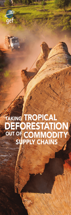 Spanish - Global Environment Facility