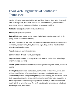 Food Web Organisms of Southeast Tennessee