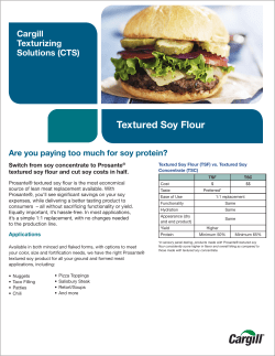 Textured Soy Flour