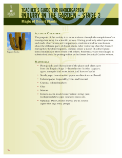 Inquiry in the Garden - Stage 3