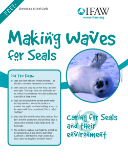 Elementary activity booklet