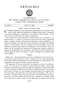 Some Ways Plants Climb - Arnoldia