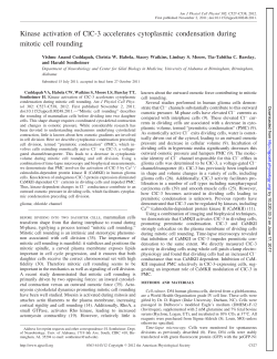 Kinase activation of ClC-3 accelerates cytoplasmic condensation
