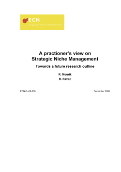 A practioner`s view on Strategic Niche Management