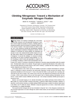 Climbing Nitrogenase: Toward a Mechanism of Enzymatic Nitrogen
