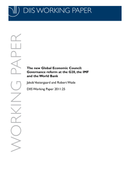 The new Global Economic Council: Governance Reform at the G20