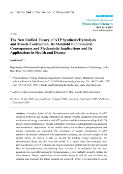 The New Unified Theory of ATP Synthesis/Hydrolysis and