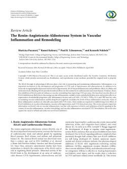 The Renin-Angiotensin-Aldosterone System in Vascular