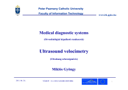 Medical diagnostic systems &ndash; Ultrasound velocimetry
