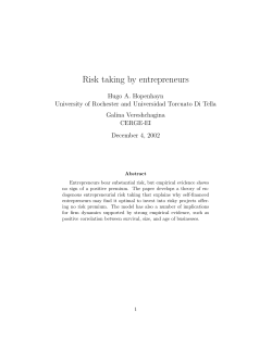 Risk taking by entrepreneurs - Cerge-Ei