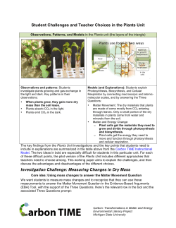 Student Challenges and Teacher Choices in the Plants Unit