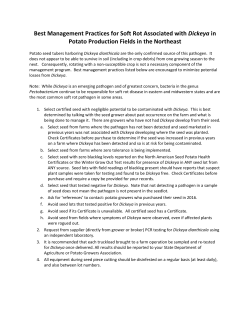 Management recommendations for potato producers in the Northeast