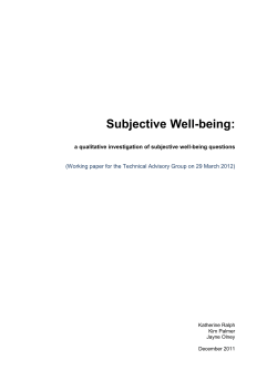 Working paper - Subjective well-being: a qualitative investigation of