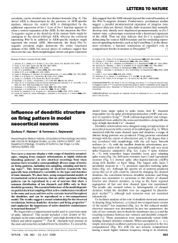 Influence of Dendritic Structure on Firing Pattern in Model