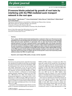 D`orenone blocks polarized tip growth of root hairs by interfering with