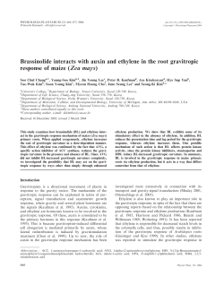 Brassinolide interacts with auxin and ethylene in the root gravitropic