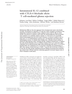 Intratumoral IL-12 combined with CTLA-4 blockade elicits T