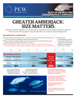 greater amberjack: size matters