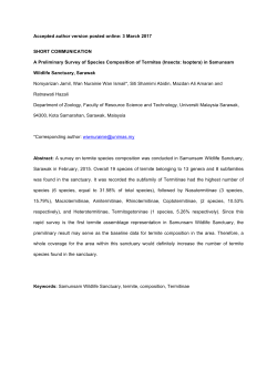 Accepted author version posted online