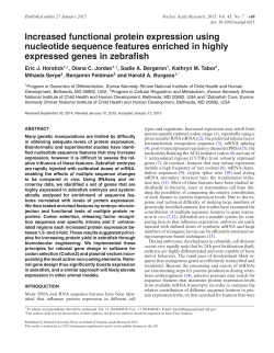 Increased functional protein expression using