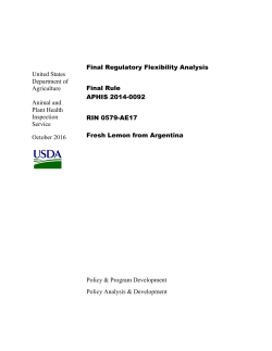 Fresh Lemon from Argentina