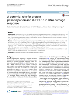 A potential role for protein palmitoylation and zDHHC16 in DNA