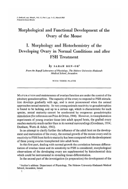 Morphological and Functional Development of the Ovary of the