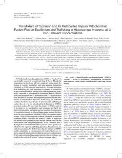 The Mixture of &ldquo;Ecstasy&rdquo; and Its Metabolites