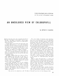 AN UNCOLORED VIEW OF CHLOROPHYLL