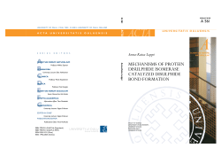 Mechanisms of protein disulphide isomerase catalyzed disulphide