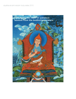 Bodhicaryavatara - Chapter on Patience