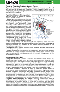 MHc26 Central Dry-Mesic Oak-Aspen Forest factsheet - MN-dnr