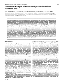 Intracellular transport of endocytosed proteins inrat liver endothelial